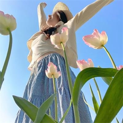 双世宠妃Ⅲ封面